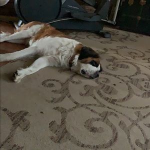 Meet your Posher, Pam